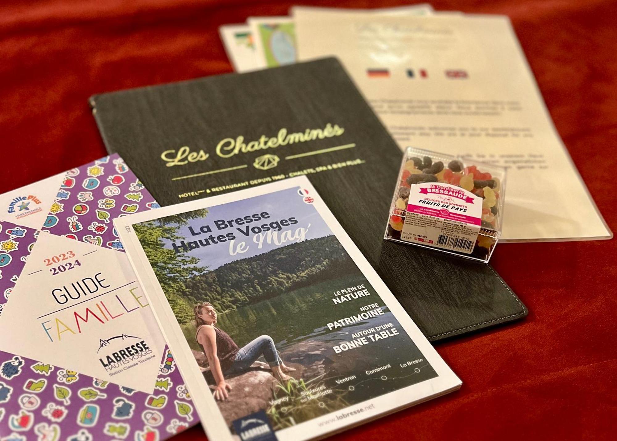 Logis Hotel, Chalets Et Restaurant Les Chatelmines La Bresse Buitenkant foto