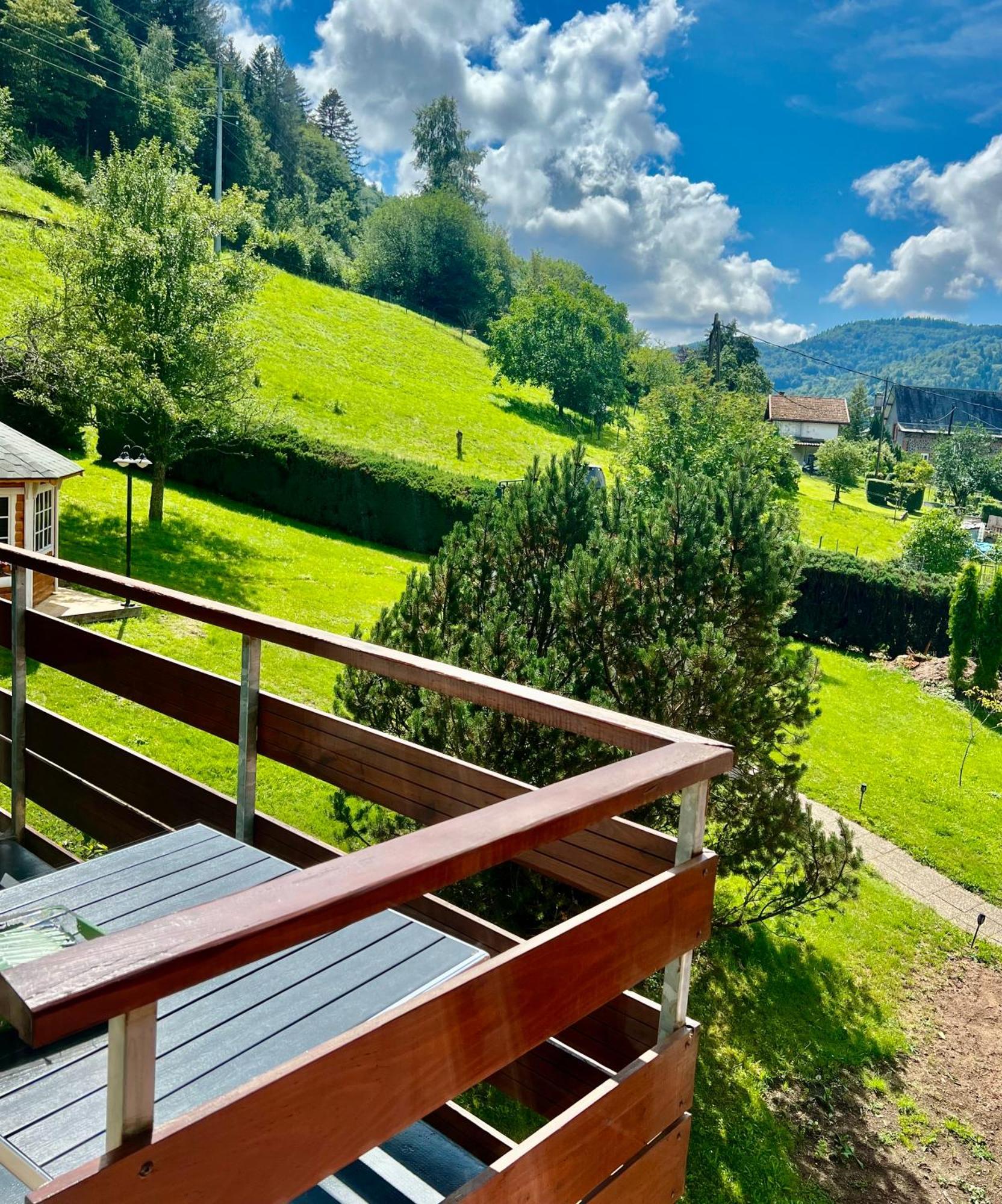 Logis Hotel, Chalets Et Restaurant Les Chatelmines La Bresse Buitenkant foto