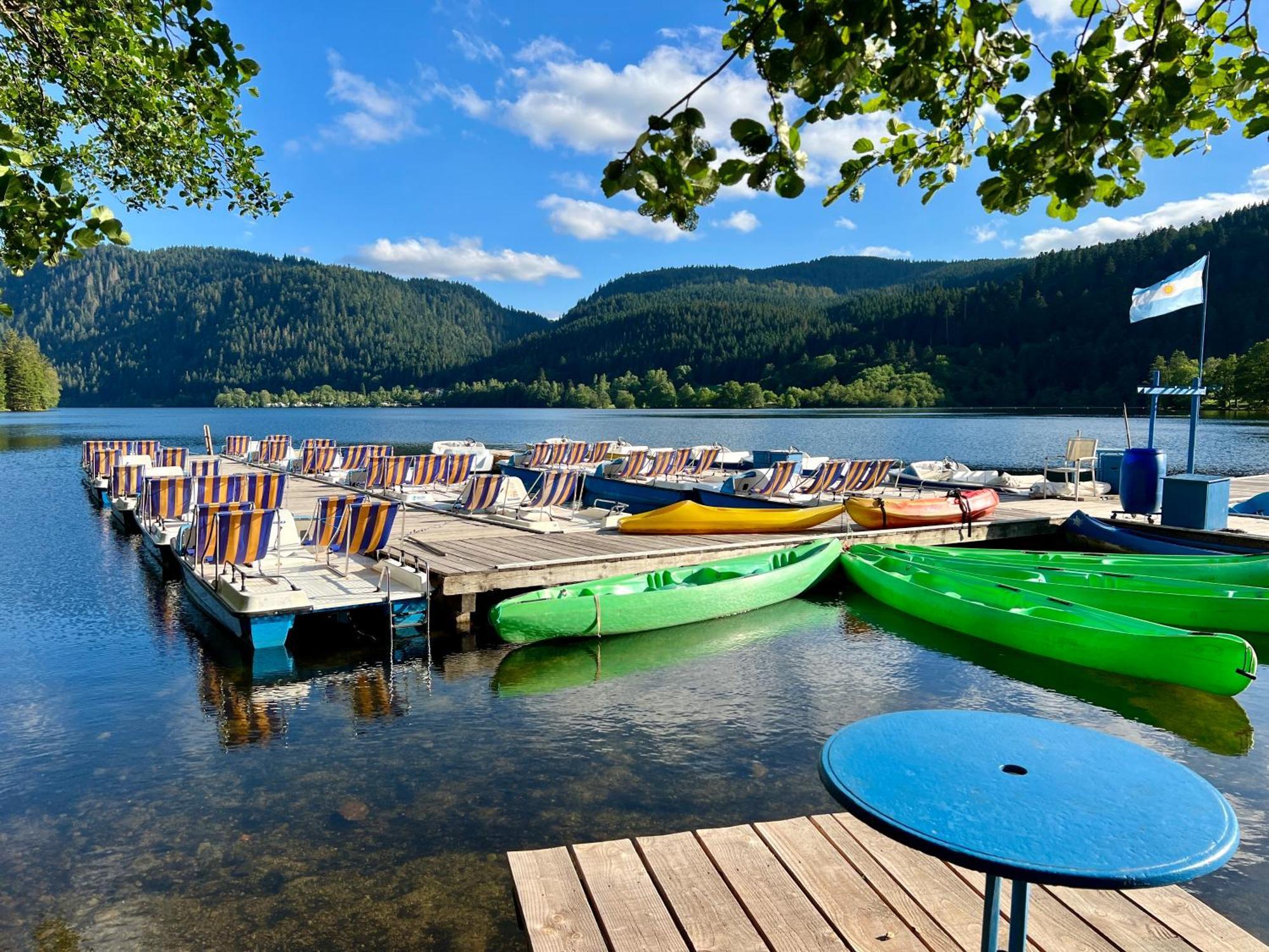 Logis Hotel, Chalets Et Restaurant Les Chatelmines La Bresse Buitenkant foto