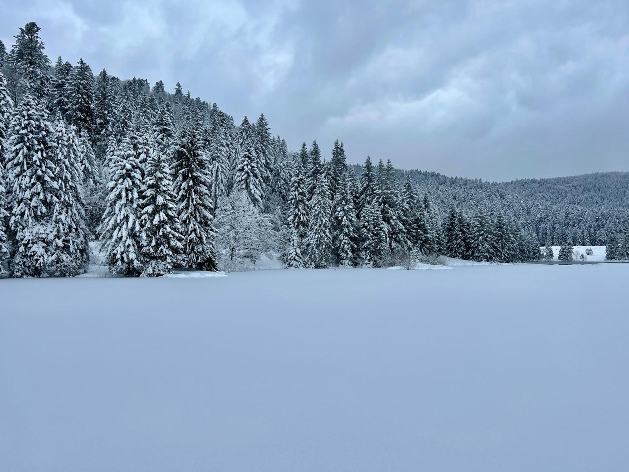 Logis Hotel, Chalets Et Restaurant Les Chatelmines La Bresse Buitenkant foto