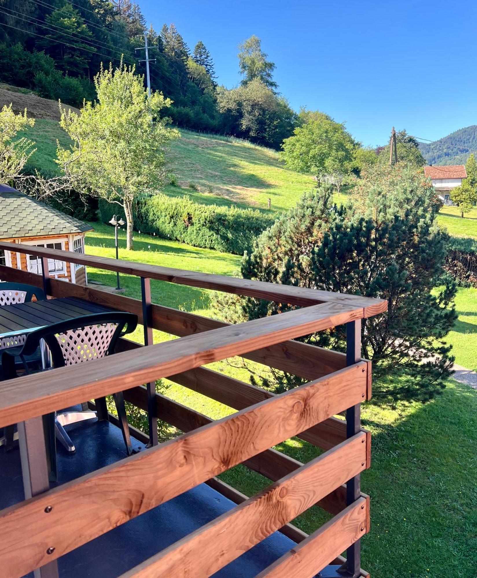 Logis Hotel, Chalets Et Restaurant Les Chatelmines La Bresse Buitenkant foto